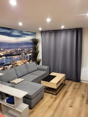 Studio cosy au RDC parking privé, térasse, wifi